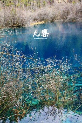 教400名留学生唱响“中州韵”,河南95后助力豫剧出海